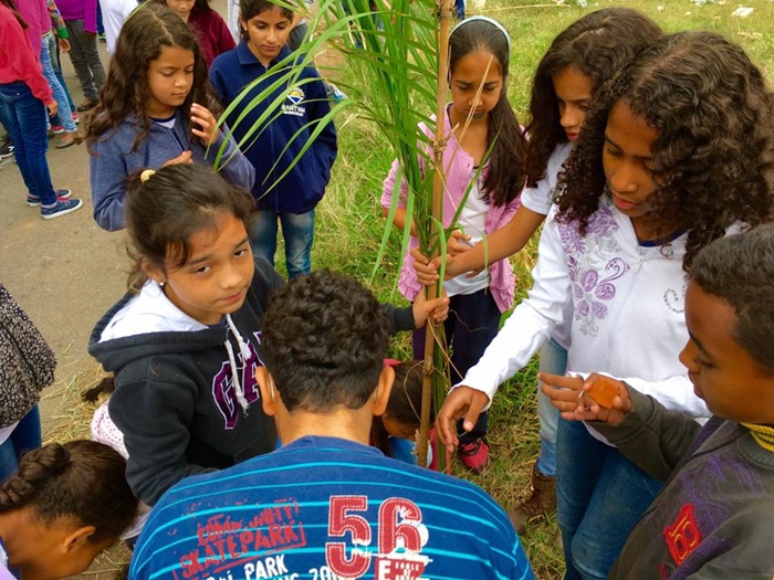 14440811_10157557265890061_8720940468335964700_n