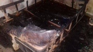 16389382_1251758871579967_2000367324_o-300x169