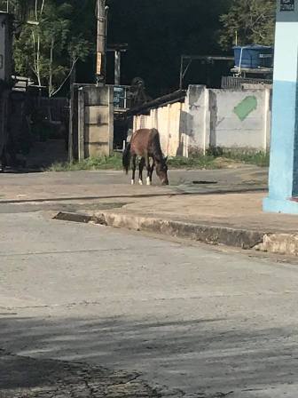 Pelas ruas da cidade