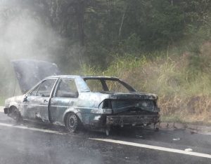 18983173_10208871799062500_68508383_n