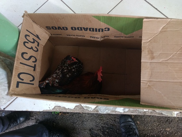 ca09ffd0-e2b3-4121-984a-c38ed6005399