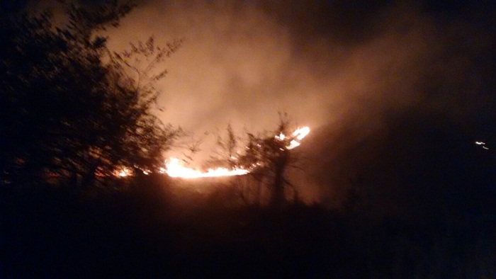 93c42465-7fce-46cf-996b-f56332cf9db7