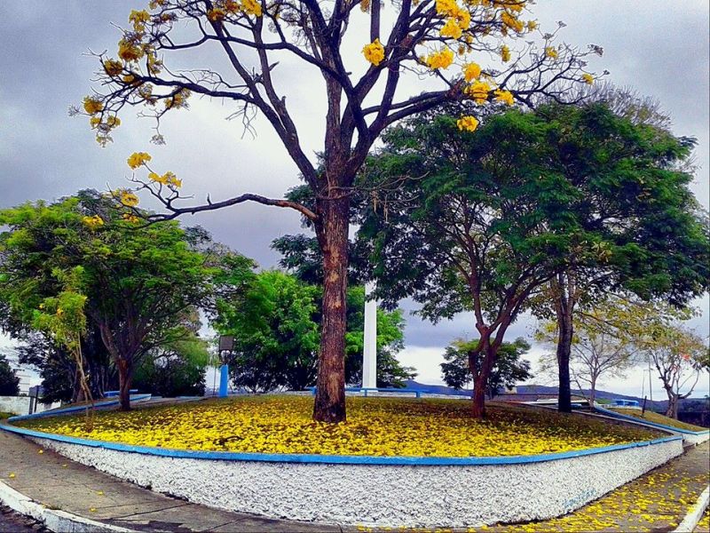 Foto: Moises Jorge
