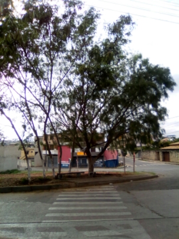 Moradores tinha o costume de sentar a sombra