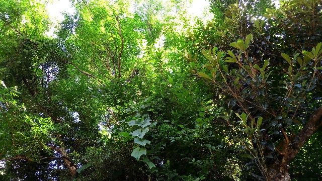 0d0f2409-0b8d-4247-a9cf-3db7c9ed28b8