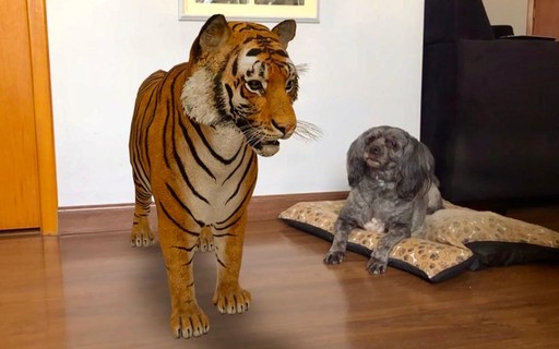 Grave vídeos com os animais 3D de realidade aumentada do Google